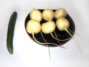 京からみ大根