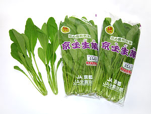 京壬生菜