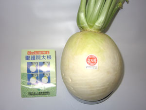 聖護院大根