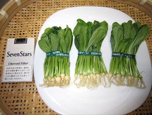 うぐいす菜